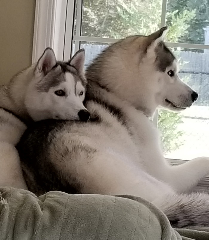Slide Image